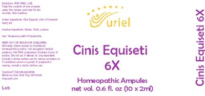 Cinis Equiseti Ampules (Cinis Equiseti Ampules)